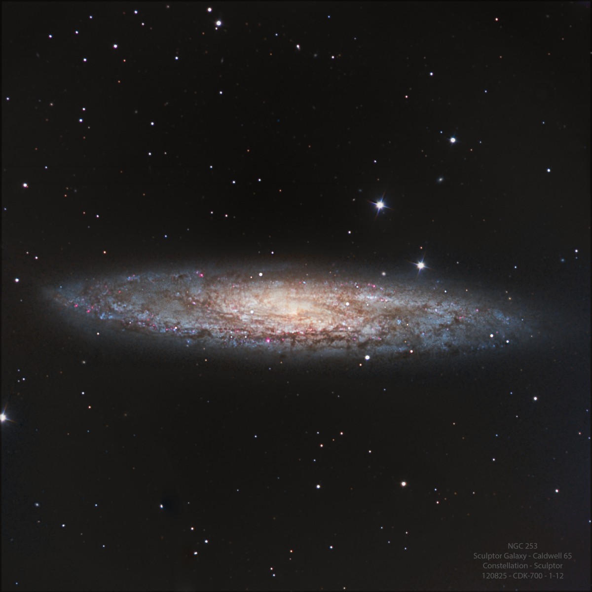 Sculpter Galaxy (NGC 253) by Colin Eldridge | PlaneWave Instruments