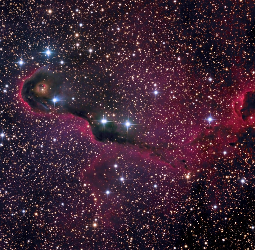 IC 1396A, Elephant’s Trunk Nebula Post Thumbnail