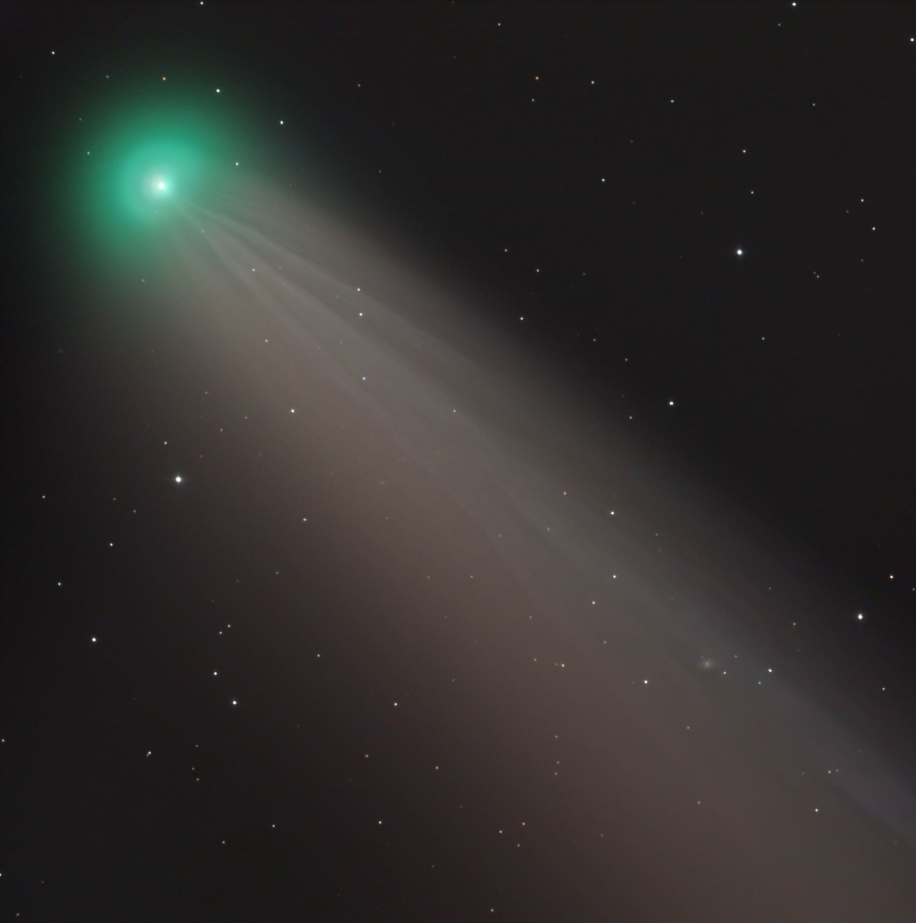 Comet NEOWISE with a CDK600 by Kurious George Post Thumbnail