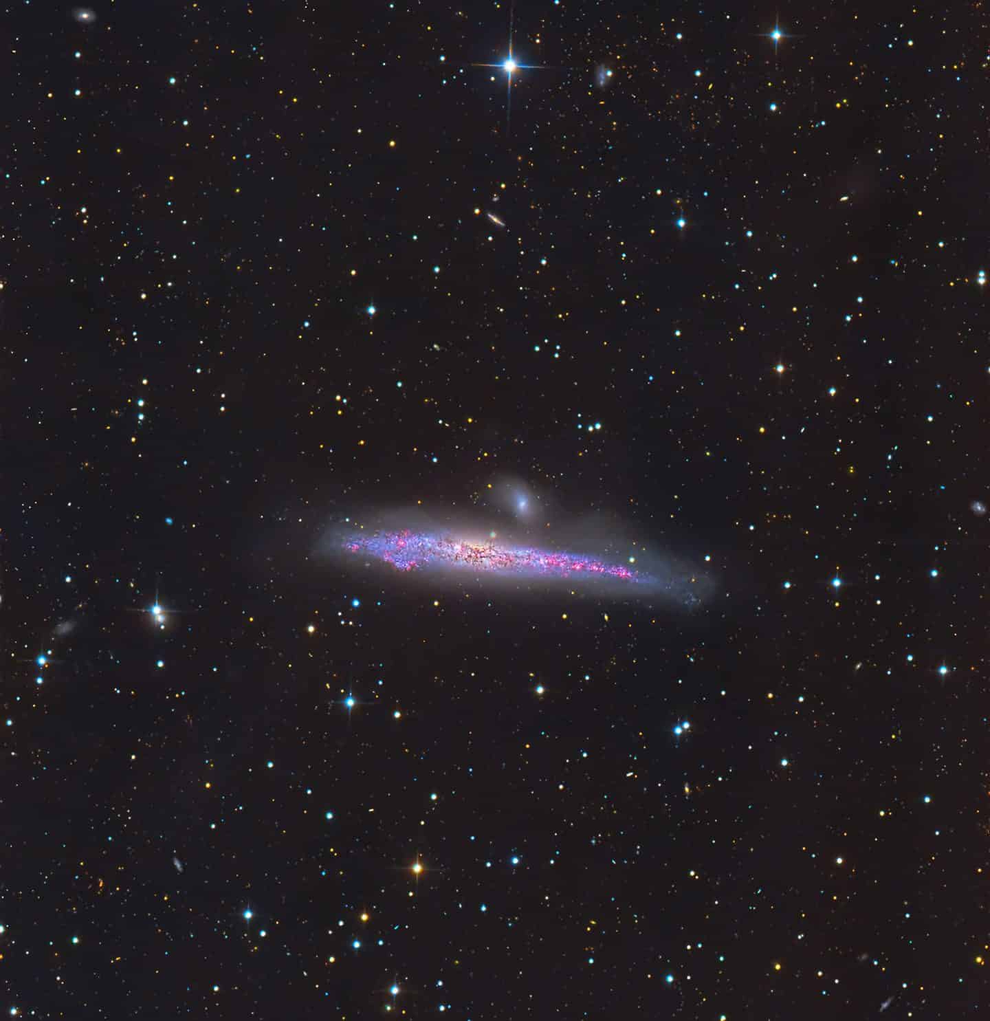 NGC4631 Whale Galaxy by Dave Collings Post Thumbnail