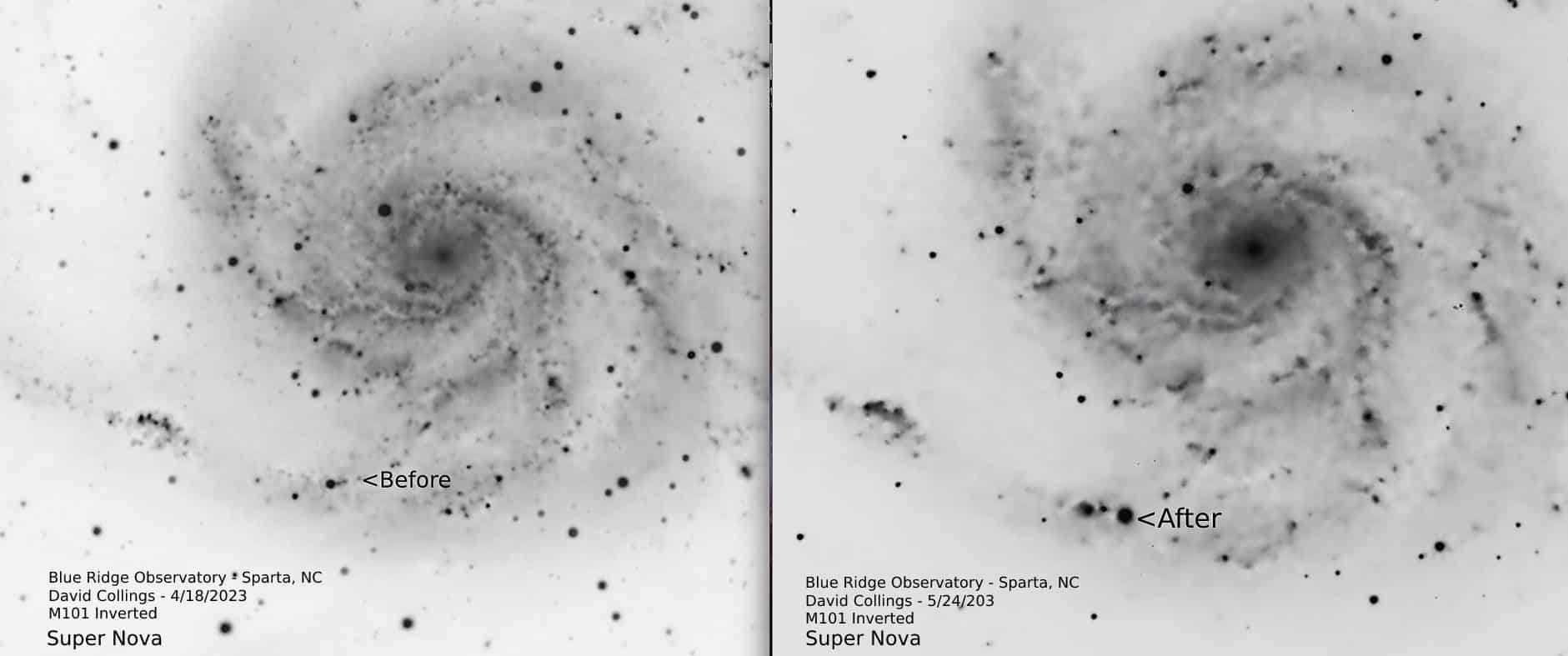 Supernova Discovered in M101- The Pinwheel Galaxy Post Thumbnail