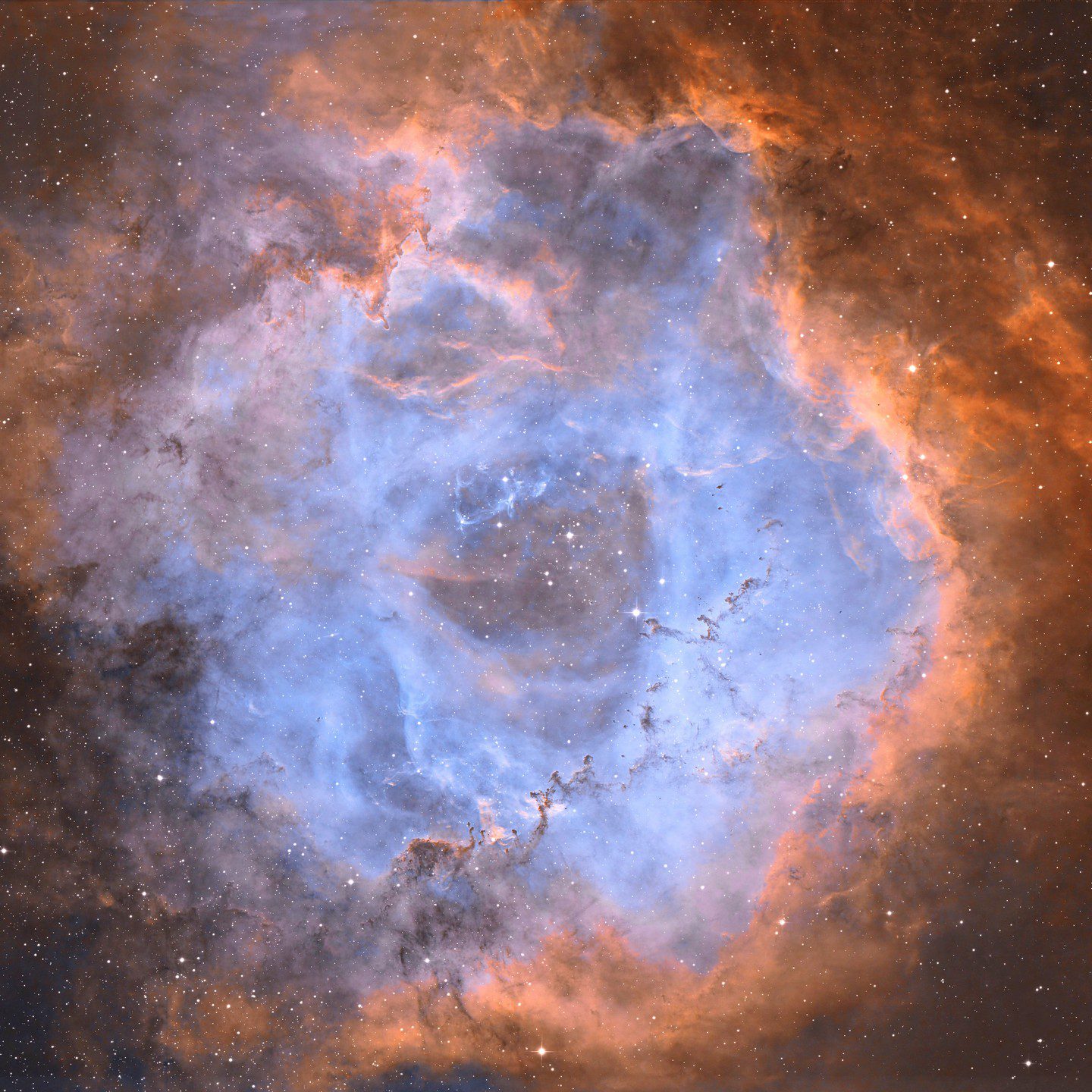 Rosette Nebula by Dave Collings Post Thumbnail