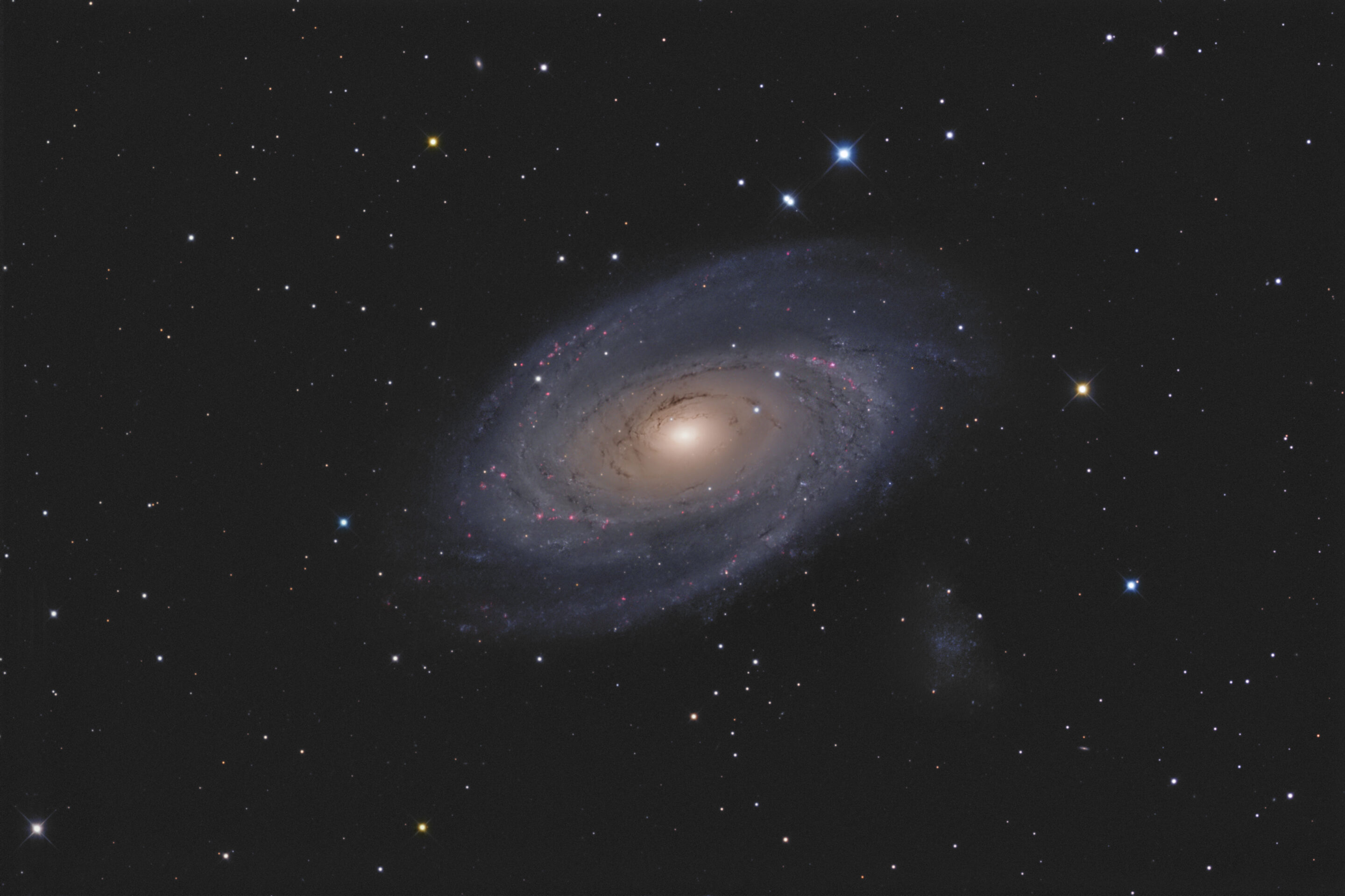 M81 Pwi Pommier